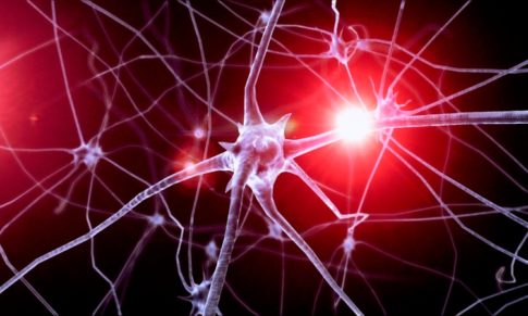 As Neurociências podem ajudar a desenvolver melhor formação