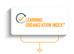 LEARNING ORGANIZATIONS